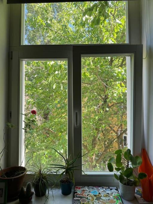 布拉格Cozy Karlin公寓 外观 照片
